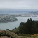 Dunedin city is much closer to the sea than we realised sailing up the coast