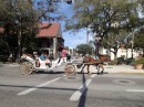 Horse and carriage rides are available in the downtown historic area.