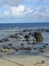 Some of the coastline on Tutuila (the main island of American Samoa) is very rocky.