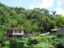 This typical Samoan scene is taken of the hillside above town facing out toward the harbor in Fagatogo.