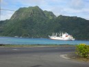 Large ships, including container ships, visit Pago Pago Harbor on a regular basis.