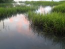 The marsh is especially pretty at this time of day. (Rivers Edge Marina/Hurricane Pattys, St. Augustine, Florida)