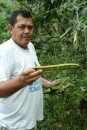 Marc showing us an unusual tropical fruit that grows wild in Nuku Hiva. this fruit looks like a long string bean on the outside and somewhat like a banana on the inside. Very tasty.