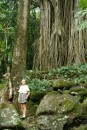 Ann standing before hole in giant tree trunk where captured Taipi enemies were imprisoned before being killed and eaten for their "mana," or spirit.
