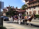 This horse sedately pulls an old-time carriage down King St. past Flagler College. No one drives fast through downtown St. Augustine.  (Historic St. Augustine FL) 