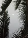 Moon over Savaii.