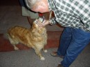 Jim says hello to Amber, our beloved golden retriever, who is not a sailor dog and so now lives happily in Tucson with our friend Marv.