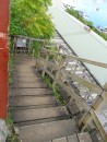 These triple tiered steps lead down to sea level by the Mango Cafe near the Aquarium.