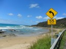 Here, as in all of Australia, speed limits are posted in kilometers per hour.