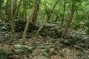 Ruins of a Marquesan village passed on way to waterfall