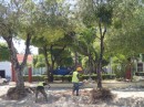 Laborers work to beautify a park in the center of town, Barahona, Dominican Republic.