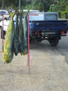 Dolphin fish (mahi mahi) displayed roadside by local fishermen. 