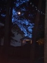 A full autumnal moon peaks through the trees in the backyard, signaling the end to another lovely day and a wonderful week filled with joy and good fellowship.