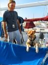Jurgen and boxer companion then named Bailey on Lorien greet us as we pass by at Baja Naval.