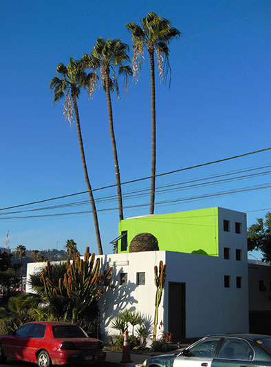 Modern lime-green building and palm trees...who