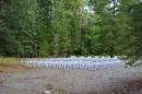 The beautiful wedding ceremony site with chairs for almost 200 people on a river floodplain clearing in the forest.