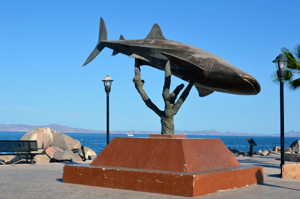 Due West anchored in the background behind the whale shark sculpture in Loreto.