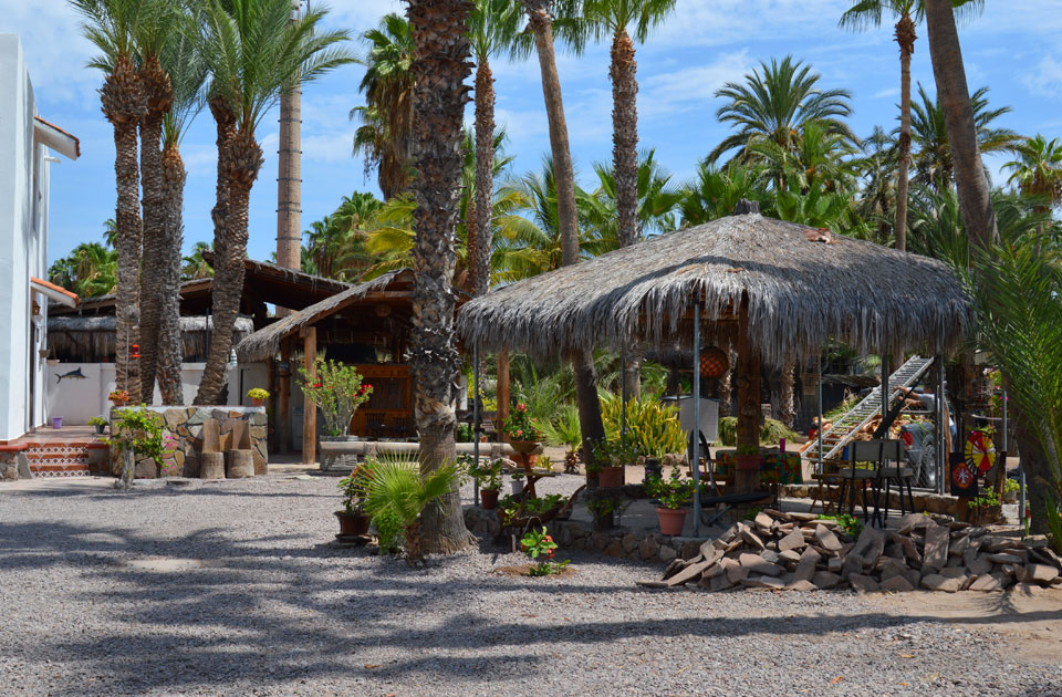 Palapa and palms hotel in Loreto.