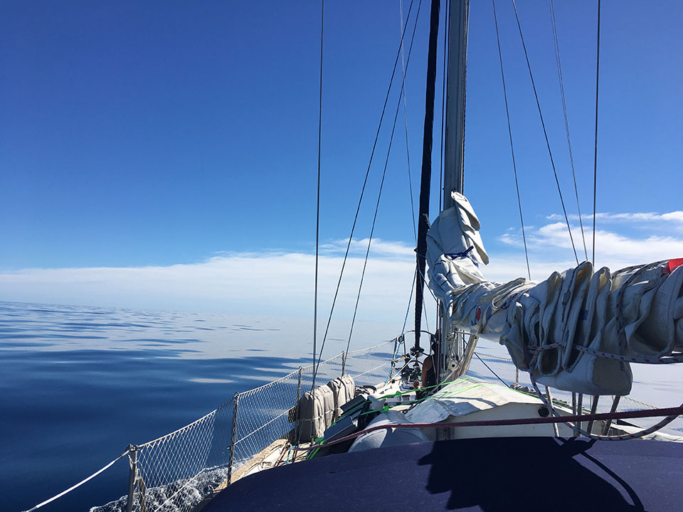 Flat-calm seas were the norm for about half of our trip across the Sea of Cortez. No wind meant motoring (which meant we could run the water maker!) and also meant we saw a LOT of sea turtles which are much easier to spot in the flat calm seas than rough seas. 