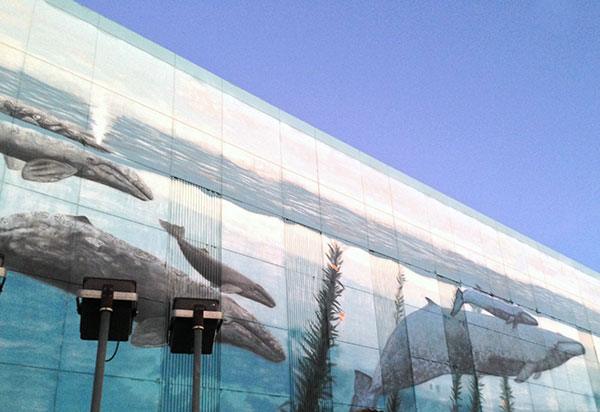 Beautiful mural of marine mammals fill the wall of the Redondo Power Plant.