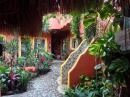 Lovely hotel courtyard in Sayulita, rooms were about $50/night, if we go again we