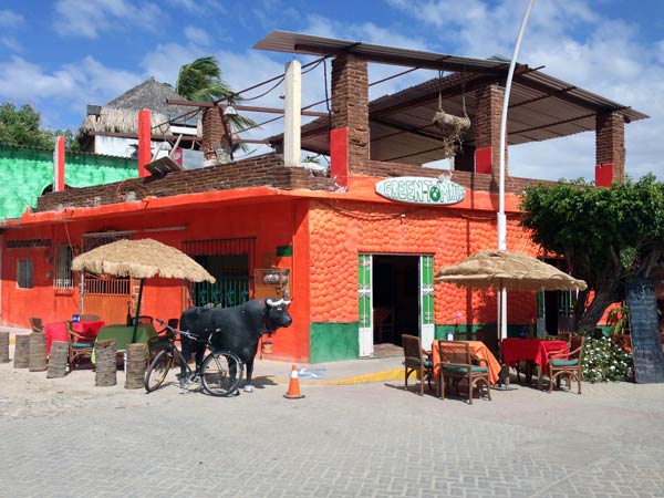 Besides the Marina, La Cruz is mostly houses, a few small shops and stores, and a few gringo  bars and restaurants like this Green Tomatoes (note the bull out front)...