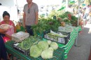 Freshest produce at the Sunday Market