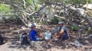 The very rare indigenous Galapagos Propane Tree (ten bucks US for 30 lbs)
