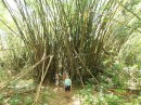 Shelia (Never Bored) & Margi in Bamboo Forest