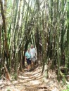 Margi & Gary in Bamboo Forest