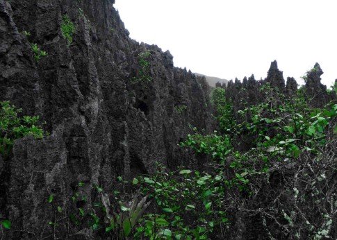 coral pinnacles on the east coast of Nuie