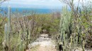 The trail was bordered by huge cactus on each side.  We had a great hike around the island.