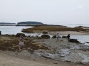 We went to shore at low tide when the islands were all connected. The tides in Maine are generally about 10 feet so at higher tides you can