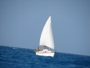 Sandy Annie under sail