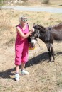 Kat making friends with donkey