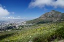 Beautifull view to Cape Town from Table Mountain  -  02.2015  -  Southafrica