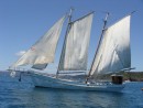 Oldtimer Sailing week Bay of Islands