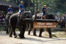 Maesa Elephant Camp in Chiang Mai - Thailand - 05.04.2013