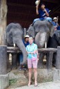 It was really fun we had in Maesa Elephant Camp  - Chiang Mai - Thailand - 05.04.2013
