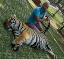 Playing with a tiger  -Tiger Kingdom in Chiang Mai - Thailand - 06.04.2013