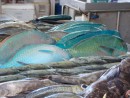 fishmarket Papeete-Tahiti