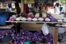 Flower shop at street , Kandy