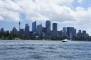 Skyline Downtown Sydney