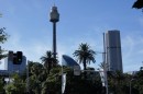 Sydney Tower & skyline