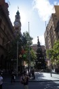 Christmastree at Martin Place