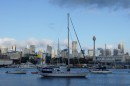 Our anchoring place downtown by tyhe Sydney fishmarket at Blackwattle Bay