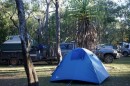 Our tent from New Zealand- again activated, otherwise no vacancies in the park lodges.....Jabiru