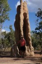Magnetic Termite Mounts