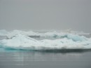 Saw a seal on a lump like this.  Others saw Polar Bears.