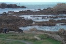 Guernsey, all the rocks you should avoid. They are mostly invisible at high water.